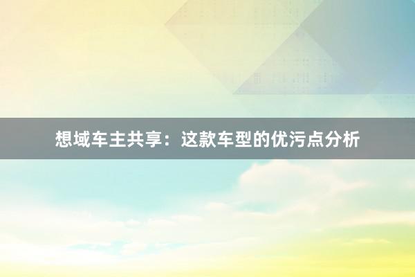 想域车主共享：这款车型的优污点分析